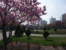 090505siryoukan1-1139.jpg
