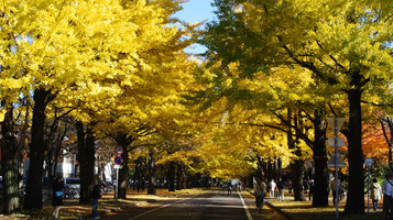 20121108ito1-_1021.jpg